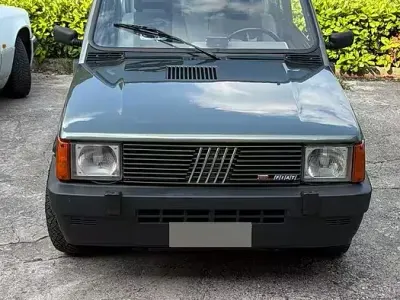 Usata Fiat Panda 4x4 1989 Verde Utilitaria
