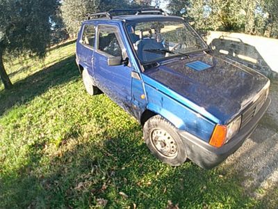 usata Fiat Panda 1100 i.e. cat Young