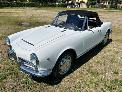Bianco Usata 1964 Alfa Romeo Giulia Berlina | 79.000 €