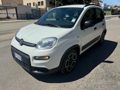 usata Fiat Panda 1.0 80 cv benzina 2021