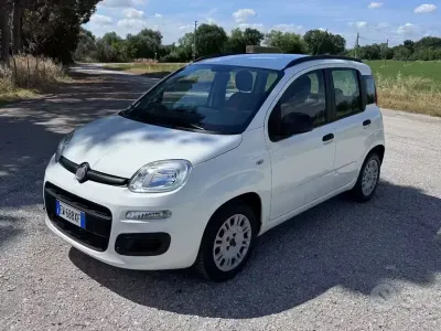 Usata Fiat Panda Easy 69 CV (50 kW) 2014 Bianco Utilitaria