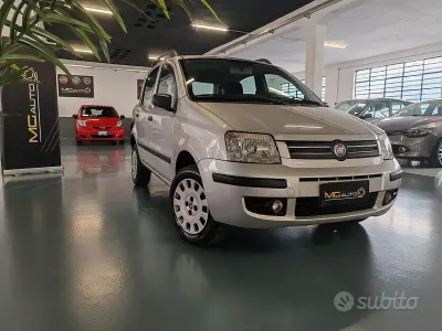 Usata Fiat Panda Dynamic 60 CV (44 kW) 2009 Grigio Utilitaria