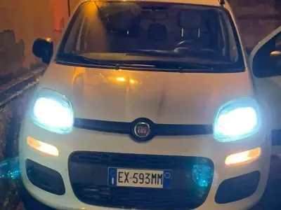Usata Fiat Panda Easy 80 CV (58 kW) 2015 Bianco Utilitaria