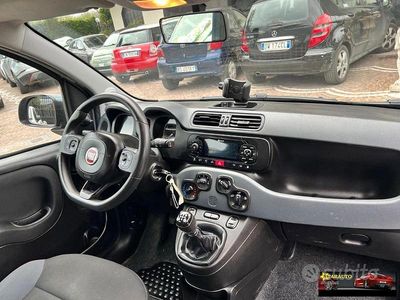 Usata Fiat Panda Lounge 84 CV (61 kW) 2020 Grigio Utilitaria