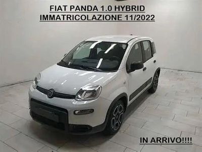 Usata Fiat Panda City Life 70 CV (51 kW) 2022 Bianco Utilitaria