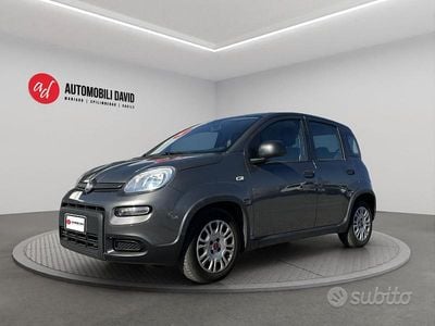Usata Fiat Panda S 70 CV (51 kW) 2022 Grigio Utilitaria