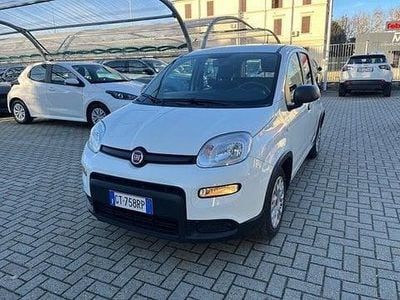 Usata Fiat Panda S 69 CV (50 kW) 2024 Bianco Utilitaria