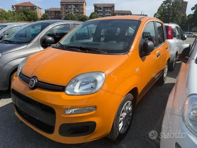 Usata Fiat Panda