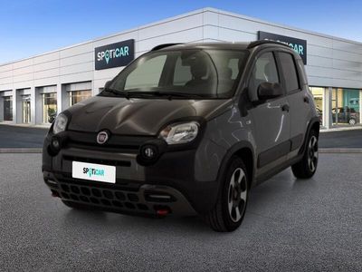 usata Fiat Panda Cross 1.0 FireFly 70cv S&S Hybrid