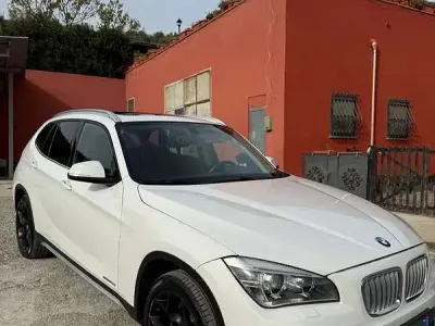 Usata BMW X1 xLine 218 CV (160 kW) 2014 SUV
