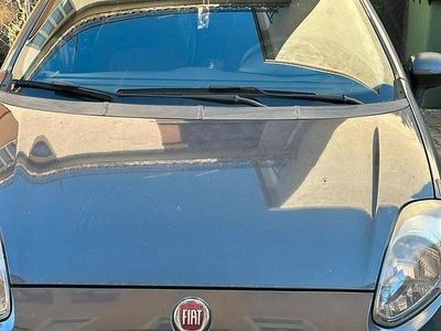 Usata Fiat Punto 54 CV (39 kW) 2013 Berlina