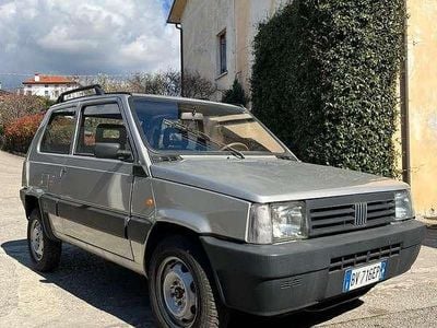 Usata Fiat Panda 4x4 Trekking 54 CV (39 kW) 2001 Argento Utilitaria