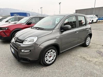 Usata Fiat Panda S 69 CV (50 kW) 2023 Grigio Utilitaria