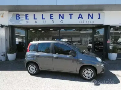 Usata Fiat Panda Easy 69 CV (50 kW) 2017 Grigio Utilitaria