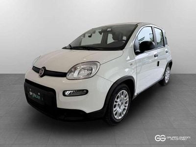 Usata Fiat Panda 70 CV (51 kW) 2024 Bianco gelato (pastello) Utilitaria