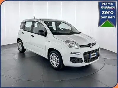 Nuova Fiat Panda Icon 65 CV (47 kW) 2026 Bianco Utilitaria