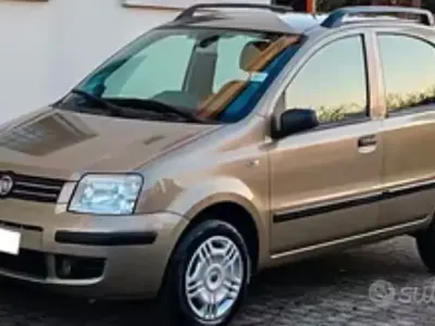 Usata Fiat Panda Dynamic 60 CV (44 kW) 2008 Grigio Utilitaria