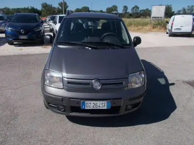 Usata Fiat Panda Dynamic 60 CV (44 kW) 2009 Grigio Utilitaria