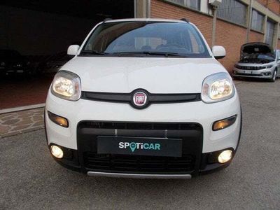 usata Fiat Panda 