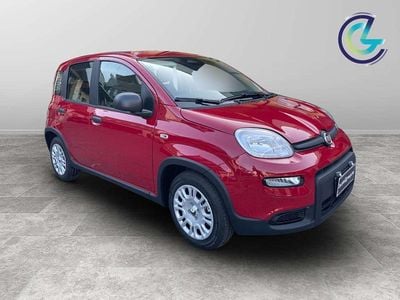 Usata Fiat Panda 69 CV (50 kW) 2024 Rosso Utilitaria