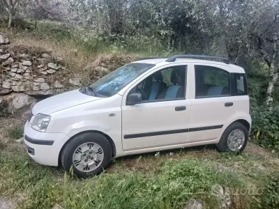Usata Fiat Panda 2009 Bianco Utilitaria