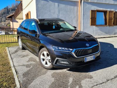 usata Skoda Octavia 1.0 e-tec 110cv wagon dsg