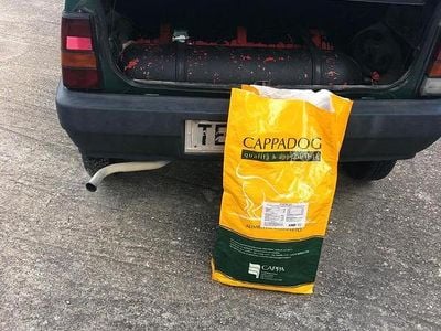 Usata Fiat Panda 4x4 50 CV (36 kW) 1989 Utilitaria