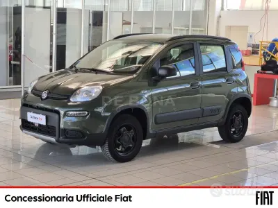 Usata Fiat Panda 4x4 S 85 CV (62 kW) 2021 Verde Utilitaria