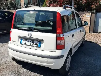Usata Fiat Panda Dynamic 60 CV (44 kW) 2009 Bianco Utilitaria