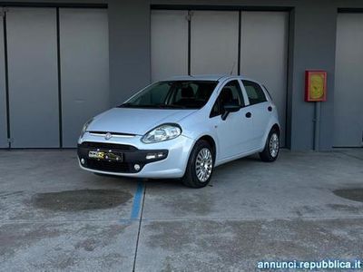 usata Fiat Punto 1.2 5 porte Active Monselice