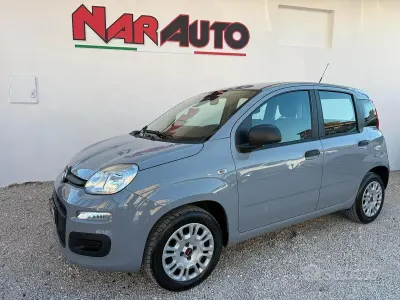 Usata Fiat Panda Easy 69 CV (50 kW) 2019 Bluazzurro Utilitaria