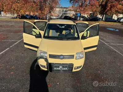 Usata Fiat Panda 4x4 Climbing 60 CV (44 kW) 2006 Giallo Utilitaria