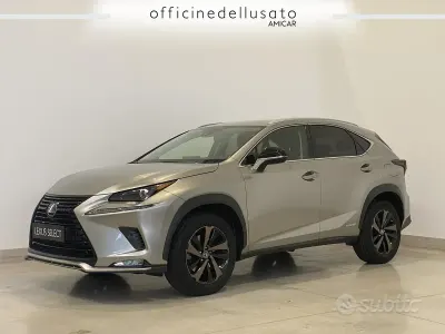 Usata Lexus NX300h 155 CV (114 kW) 2021 SUV