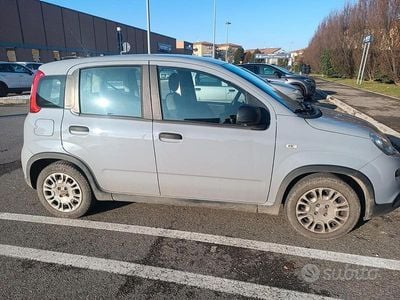 Usata Fiat Panda 70 CV (51 kW) 2022 Grigio Utilitaria