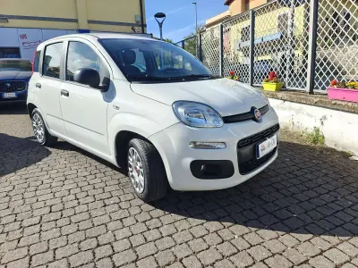 Usata Fiat Panda Easy 69 CV (50 kW) 2020 Bianco Utilitaria