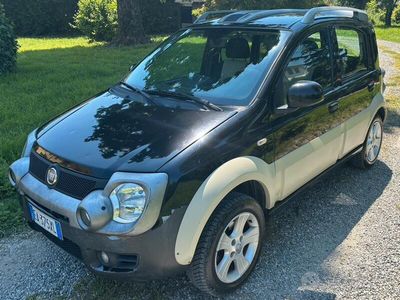 Usata Fiat Panda Cross 2010 Utilitaria