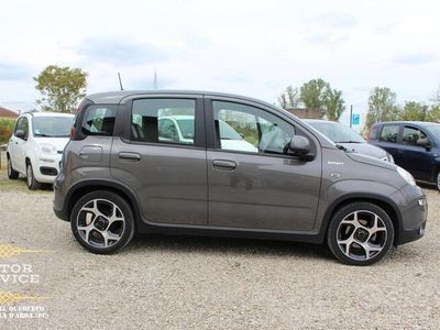 usata Fiat Panda Panda 1.0 FireFly S&S Hybrid City Life