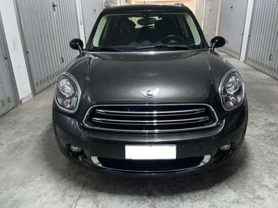 Mini Park Lane Countryman