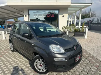 Usata Fiat Panda Easy 69 CV (50 kW) 2019 Grigio Utilitaria