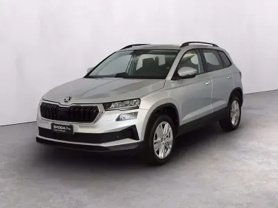 Usata Skoda Karoq