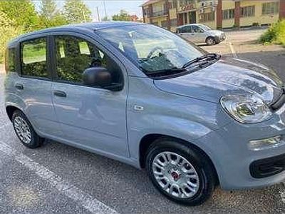 Usata Fiat Panda Easy 69 CV (50 kW) 2022 Utilitaria