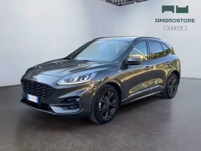 Usado Ford Kuga ST-Line 120 CV (88 kW) 2022 Gris SUV
