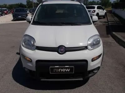 Usata Fiat Panda 4x4 S 95 CV (69 kW) 2017 Bianco Utilitaria
