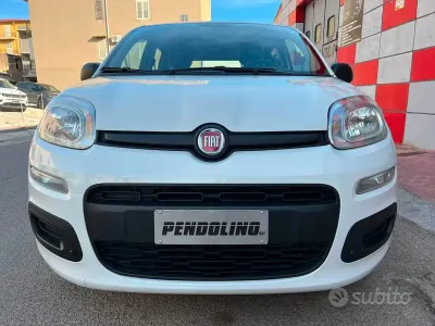Usata Fiat Panda Easy 69 CV (50 kW) 2018 Bianco Utilitaria