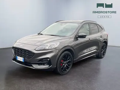 Occasion Ford Kuga ST-Line X 225 ch (165 kW) 2023 Gris SUV