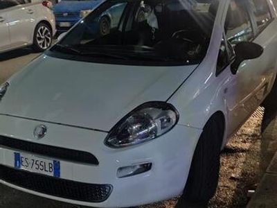 usata Fiat Punto 2013