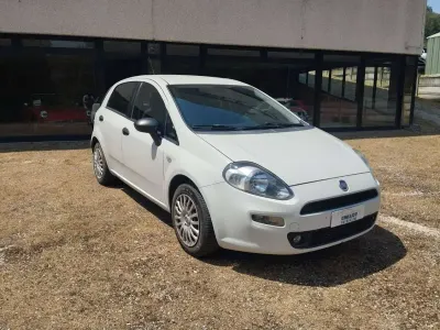 Usata Fiat Punto Evo 75 CV (55 kW) 2014 Bianco Utilitaria