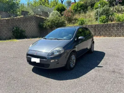 Usata Fiat Punto Lounge 77 CV (56 kW) 2013 Grigio Utilitaria