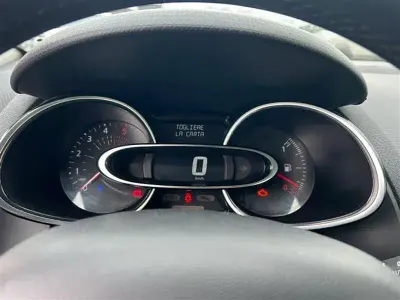 Usata Renault Clio