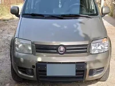 Usata Fiat Panda 60 CV (44 kW) 2008 Utilitaria